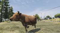 In GTA 5 kann man wiederum in eine Kuh!