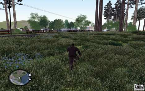 Project Oblivion 2010 For Low PC V2 pour GTA San Andreas
