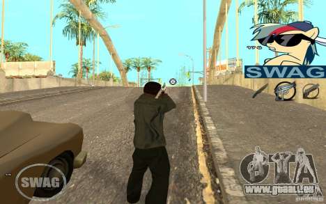 C-HUD Pony SWAG pour GTA San Andreas