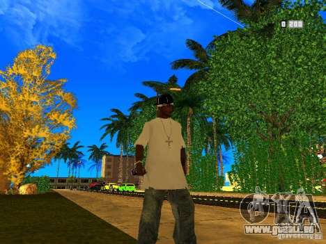 New Weapon Pack pour GTA San Andreas