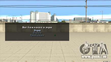 Les caractéristiques du jeu pour GTA San Andreas