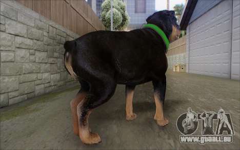 Rottweiler from GTA 5 pour GTA San Andreas