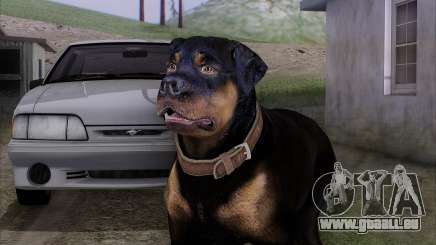 Rottweiler from GTA 5 für GTA San Andreas