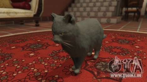 GTA 5 Gray House Cat