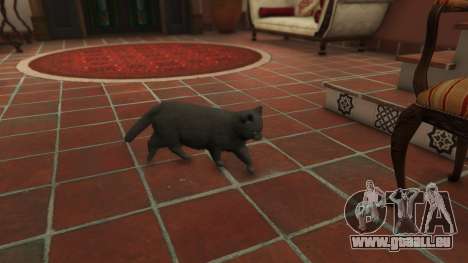 GTA 5 Gray House Cat