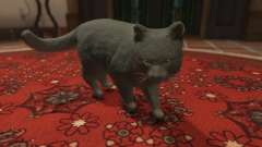 Gray House Cat für GTA 5