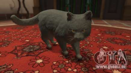 Gray House Cat für GTA 5