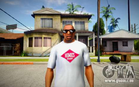 Turn Down For What Glasses For Cj für GTA San Andreas