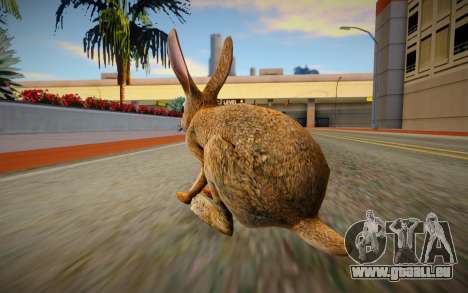 Rabbit für GTA San Andreas