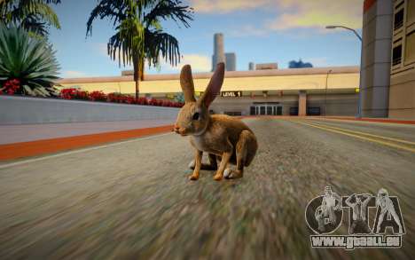 Rabbit pour GTA San Andreas
