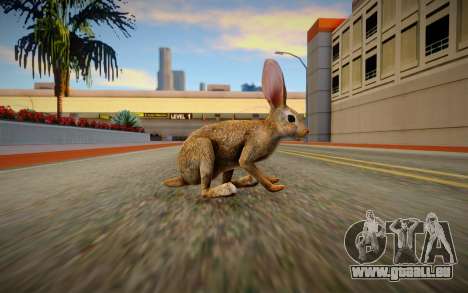 Rabbit pour GTA San Andreas