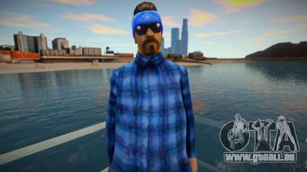 New sfr2 skin für GTA San Andreas