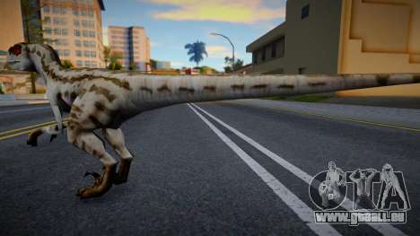 Velociraptor pour GTA San Andreas