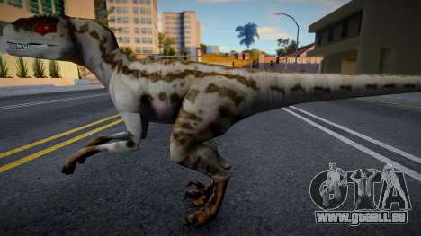 Velociraptor pour GTA San Andreas