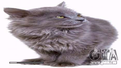 Chargement d’écrans avec des chatons pour GTA San Andreas