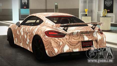 Porsche Cayman RT S2 für GTA 4