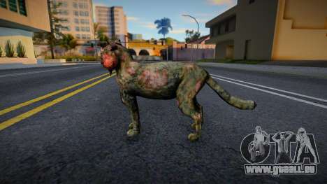 Katze von S.T.A.L.K.E.R. für GTA San Andreas