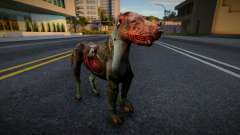 Hund von S.T.A.L.K.E.R. v4 für GTA San Andreas