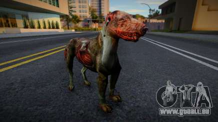 Chien de S.T.A.L.K.E.R. v4 pour GTA San Andreas