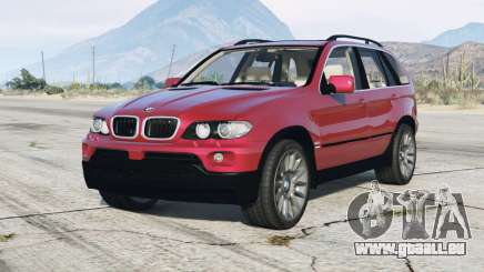BMW X5 4.8is (E53) 2005 pour GTA 5