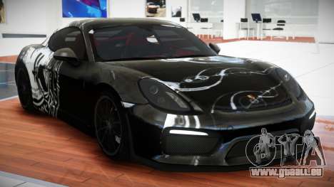 Porsche Cayman R-Sport S1 für GTA 4