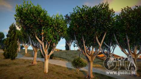 V To SA - Vegetation Style (Alpha) pour GTA San Andreas