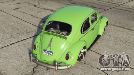 Volkswagen Fusca Feijoa