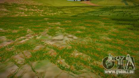 Next Gen Grass Summer Version (Medium) pour GTA San Andreas