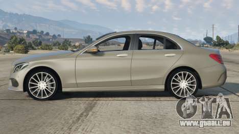 Mercedes-Benz C 250 Dark Medium Gray