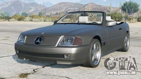 Mercedes-Benz SL 500 (R129) Davys Grey