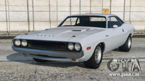 Dodge Challenger Ash Grey