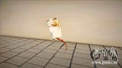 Robert The Fat Rat Meme pour GTA San Andreas