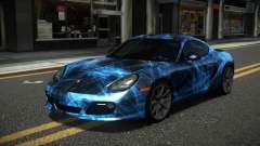 Porsche Cayman Ziva S10 für GTA 4