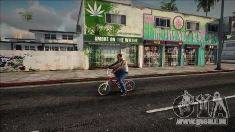 Masquer l’affichage des noms de voitures et de v pour GTA San Andreas