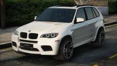 BMW X5M [MT]