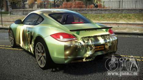 Porsche Cayman Zurrasko S10 für GTA 4