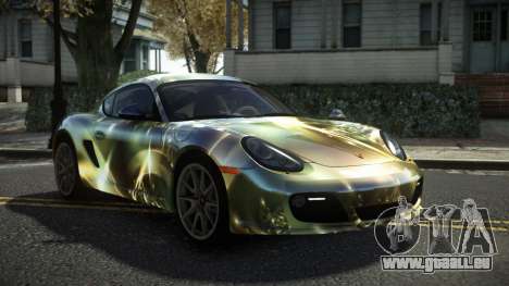 Porsche Cayman Zurrasko S10 für GTA 4