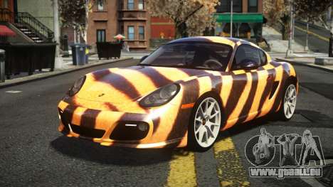 Porsche Cayman Frubo S11 für GTA 4