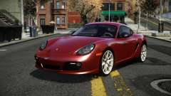 Porsche Cayman Frubo für GTA 4
