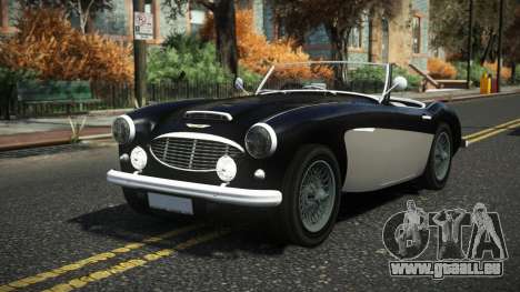 Austin-Healey 100 Frujo für GTA 4
