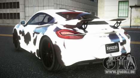 Porsche Cayman Riley S4 für GTA 4