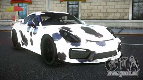 Porsche Cayman Riley S4 für GTA 4