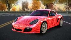 Porsche Cayman Ronthy S2 für GTA 4