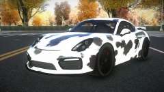 Porsche Cayman Riley S4 für GTA 4