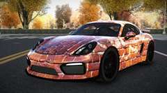 Porsche Cayman Riley S14 für GTA 4