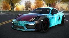 Porsche Cayman Riley S6 für GTA 4