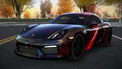 Porsche Cayman Riley S13 pour GTA 4