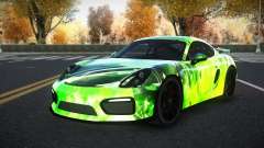 Porsche Cayman Riley S12 für GTA 4