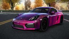Porsche Cayman Riley S1