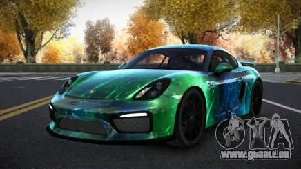 Porsche Cayman Riley S3 für GTA 4